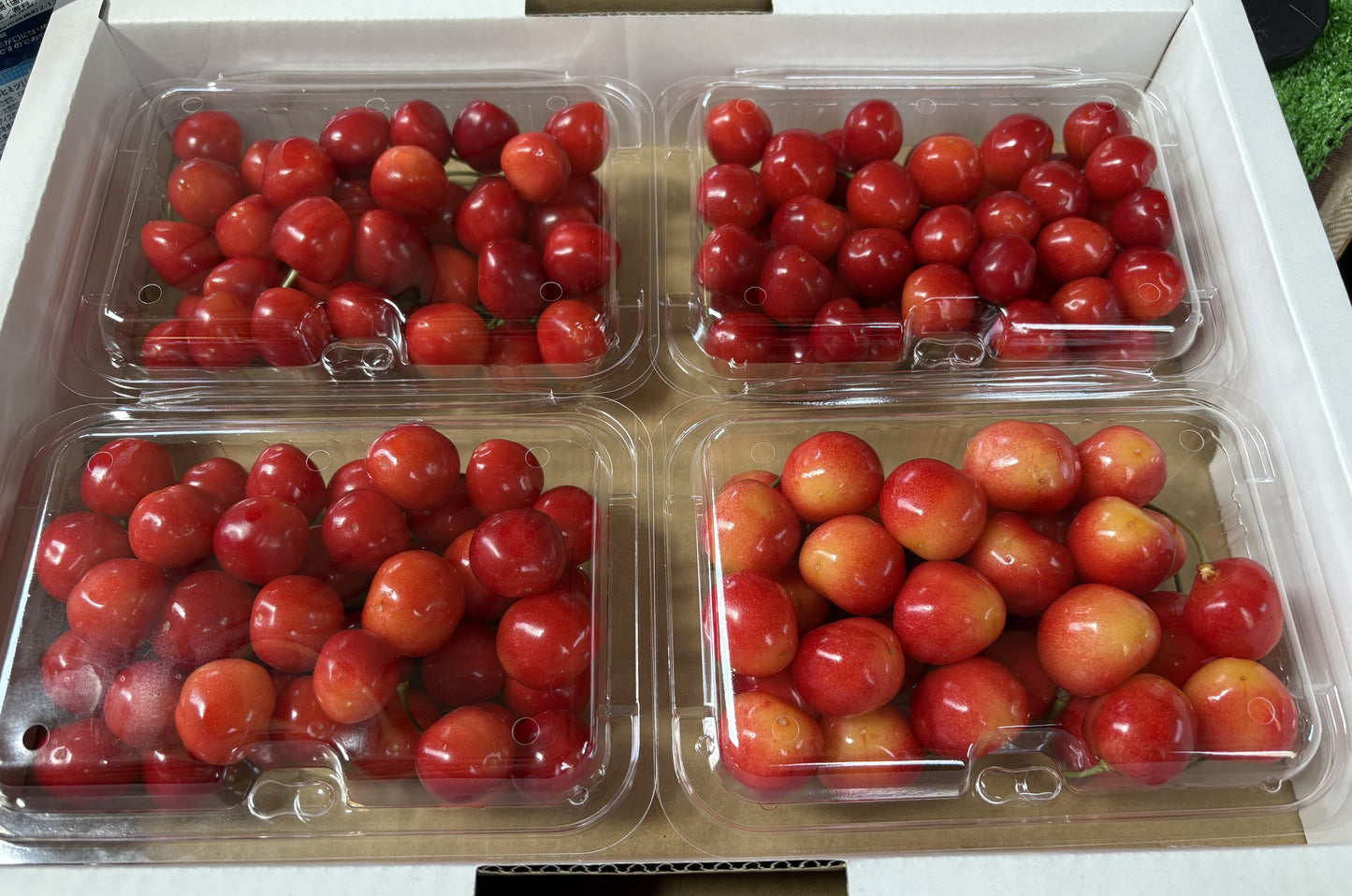 彩り4色ボックス(水門+佐藤錦+山形美人+南陽)1kg